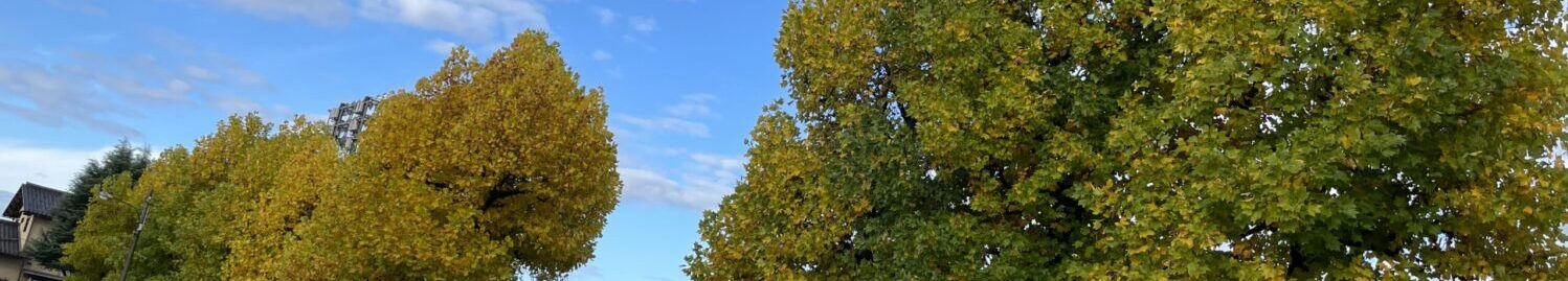 南砺市立井波中学校